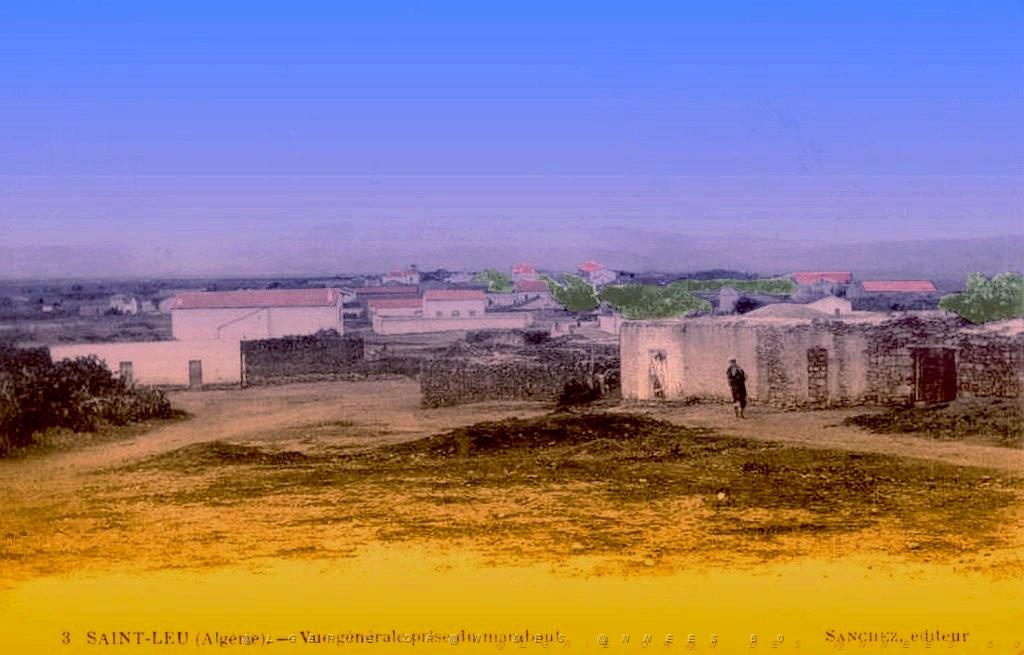 SAINT LEU 37.jpg